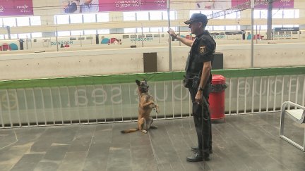 Coca, la perra de la unidad canina en la estación Delicias de Zaragoza. / Aragón TV