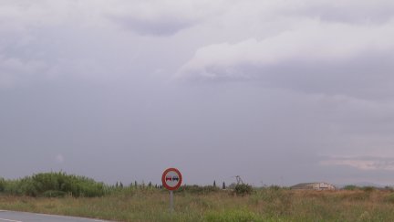 El Gobierno de Aragón ha activado el PROCIFEMAR en fase de alerta. / Aragón TV