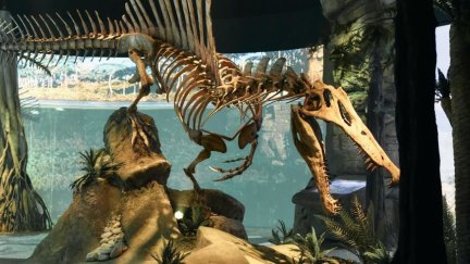 El Spìnosaurus del recorrido temático 'Mar Jurásico' de Dinópolis./ Gobierno de Aragón