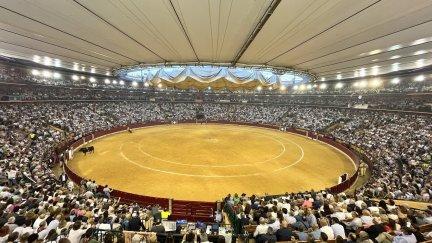 Festejos taurinos como las vaquillas, el toro de soga o el embolado de fuego tendrán lugar en las calles. / Europa Press