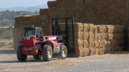 Una empresa de paja recopila las pacas para la venta. / Aragón TV