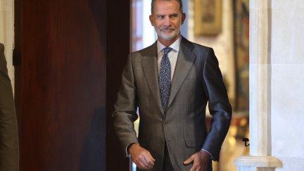 El Rey Felipe VI, en una imagen de archivo. / Europa Press