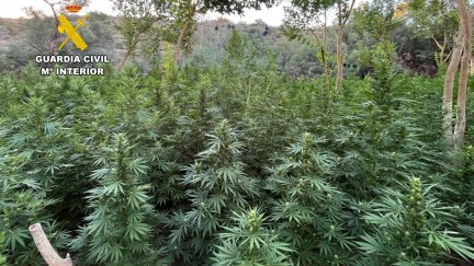 Se trataba de un terreno difícil de detectar al hallarse en una zona boscosa. / Guardia Civil