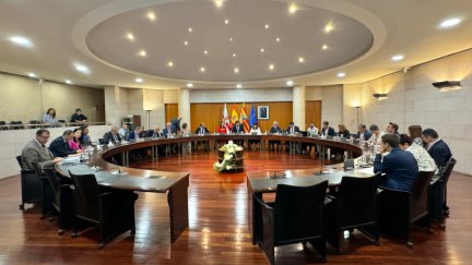 Pleno ordinario de este mes de septiembre de la DPH. / DPH