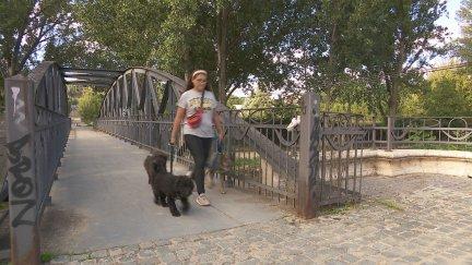 Perro con correa paseando por Teruel./ Aragón TV