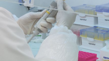Imagen de uno de los laboratorios de Diagonóstica Longwood en Zaragoza. / Aragón TV