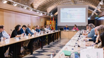 La consejera de Educación, Cultura y Deporte, Tomasa Hernández, ha presidido la reunión inicial de la Mesa. / Gobierno de Aragón.