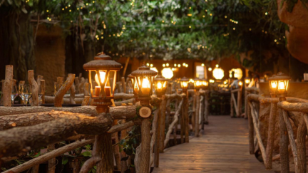 El último restaurante temático que ha abierto en Zaragoza es 'Voltereta Nueva Zelanda', que traslada a la clientela a un bosque mágico de este país. / Web grupo 'Voltereta'
