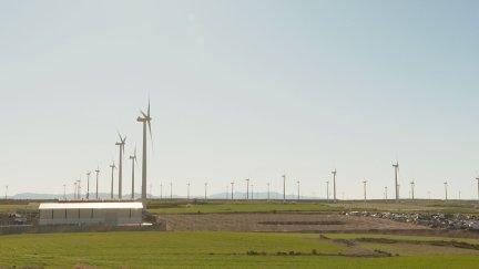 Un parque eólico en Argón. / Aragón TV