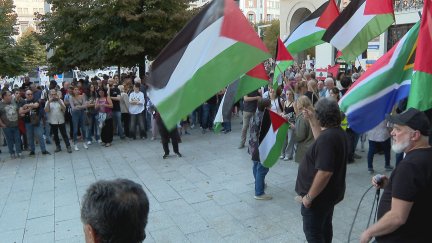 Manifestación por Palestina en Zaragoza./ Aragón TV