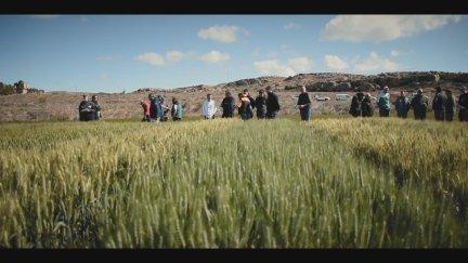 Imagen de un grupo de agricultores en un campo de cereal. / Red Arax