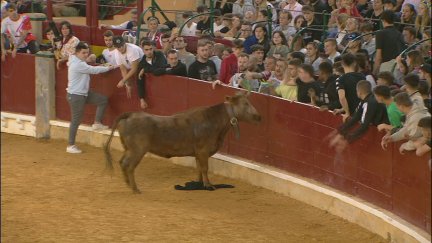 Las vaquillas son uno de los actos más multitudinarios de las fiestas. / Aragón TV