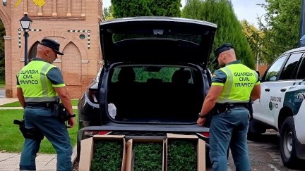 Los agentes encontraron 312 plantas de marihuana listas para su cultivo. / Europa Press