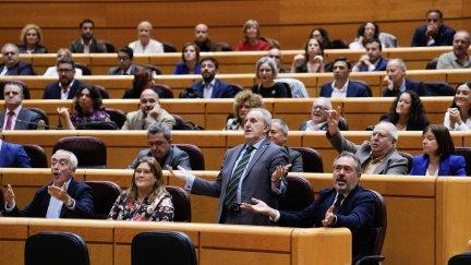 a bancada socialista reacciona tras el debate de la Ley sobre intercambio de información de antecedentes penales, este lunes en el Senado. / EFE