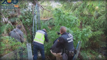 Los agentes han detenido a tres personas por un delito de tráfico de drogas. / Policía Nacional