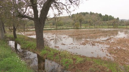 Campos anegados en el entorno de Báguena (Teruel). / Aragón TV