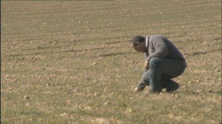 Un agricultor analiza el estado de uno de sus terrenos de cultivo. / Aragón TV