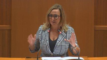 Mayte Pérez, portavoz socialista. / Aragón TV