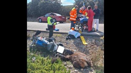 El herido ha sido trasladado al Hospital Obispo Polanco. / Guardia Civil