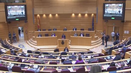Sesión plenaria este martes en el Senado. / Congreso de los Diputados