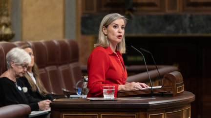 La diputada de Sumar Verónica Martínez en una sesión plenaria del Congreso de los Diputados. / Europa Press,
