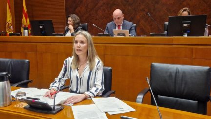 La gerente de Atención Primaria del Servicio Aragonés de Salud, Pilar Borraz, en su comparecencia en las Cortes de Aragón. / Gobierno de Aragón
