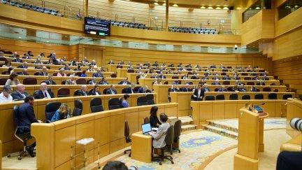 Momento de la sesión de control al Gobierno en el Senado. / Europa Press