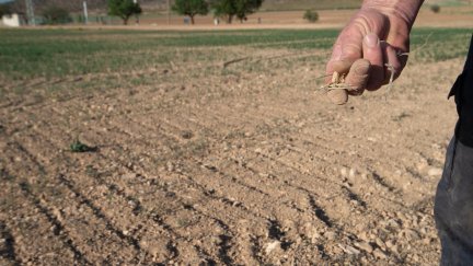 Campo afectado por la sequía en Aragón. / Europa Press