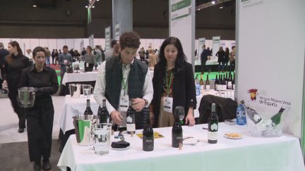 Dos vinos aragoneses superan la clasificación de 95 puntos sobre 100. / Aragón TV