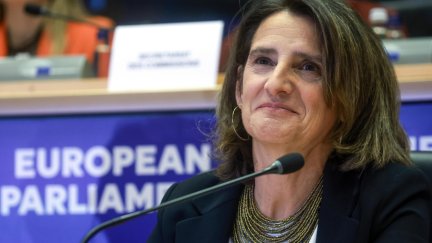 Teresa Ribera todavía tiene en el aire su nombramiento como comisaria europea. / EFE