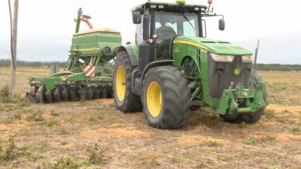Las precipitaciones han supuesto un alivio para algunas zonas que llevaban dos años muy complicados. / Aragón TV