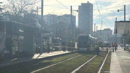 El atropello ha ocurrido en la parada de Romareda. / Aragón TV