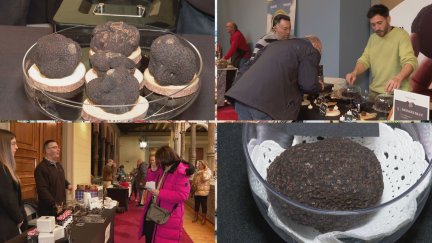 La Muestra de la Trufa Negra de la Provincia de Zaragoza se celebra este fin de semana en el Palacio de Sástago. / Aragón TV