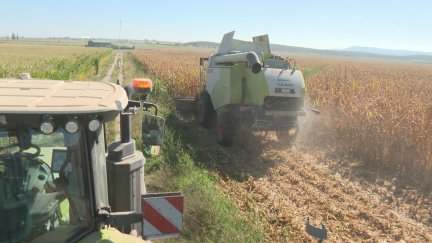Hasta 344 profesionales que abandonado sus explotaciones en 2024. / Aragón TV