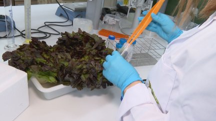 La investigación en el CITA se desarrolla en Aragón desde el 2002. / Aragón TV
