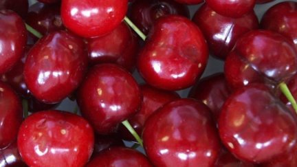 Cereza producida en la comarca de Calatayud. / Gobierno de Aragón