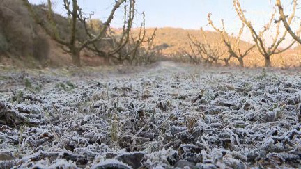 Un campo helado. / Aragón TV