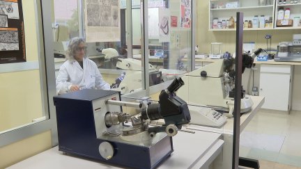 Los nuevos equipamientos comenzarán a llegar a finales de este año y principios de 2026. / Aragón TV