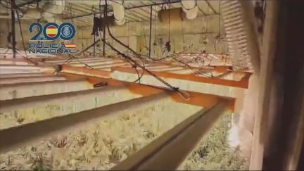 La Policía Nacional detiene a siete personas y desmantela la mayor plantación de marihuana de interior de Huesca. / Policía Nacional