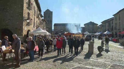 Ferieta de Aínsa este domingo. / Aragón TV