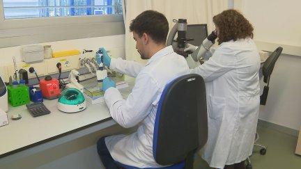 Investigación oncológica en Aragón./ Aragón TV