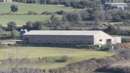 La granja donde se ha registrado el accidente laboral. / Aragón TV