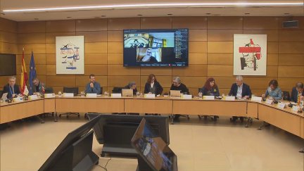El ministerio de Sanidad se ha reunido este miércoles con las comunidades autónomas para consensuar el Estatuto Marco de Sanidad. / Aragón TV