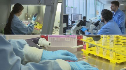 Varios investigadores del ISS Aragón trabajando en el proyecto. / Aragón TV