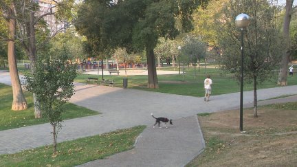 Los primeros pasos de este plan ya se han dado con la reforma del albergue y la rehabilitación de viviendas. / Aragón TV