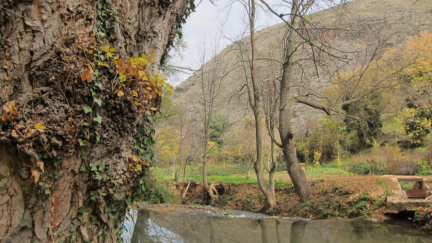 Cauce del río Piedra./ Europa Press