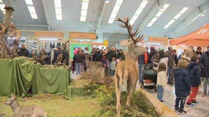 La feria Captur se celebrada cada año en Calamocha. / Aragón Tv