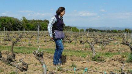 El 23% de los responsables de las explotaciones agrarias aragonesas son mujeres. | Gobierno de Aragón