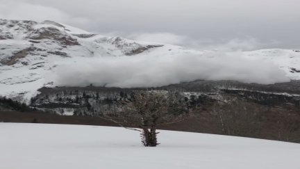 Aragón, en riesgo por aludes. / Aragón TV