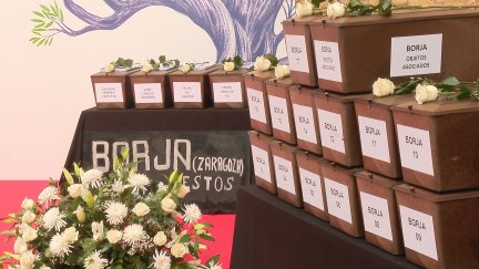 Los restos de los 17 magalloneros que fueron fusilados en 1936. / Aragón TV